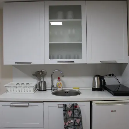 Apartment Ogi Balkanska